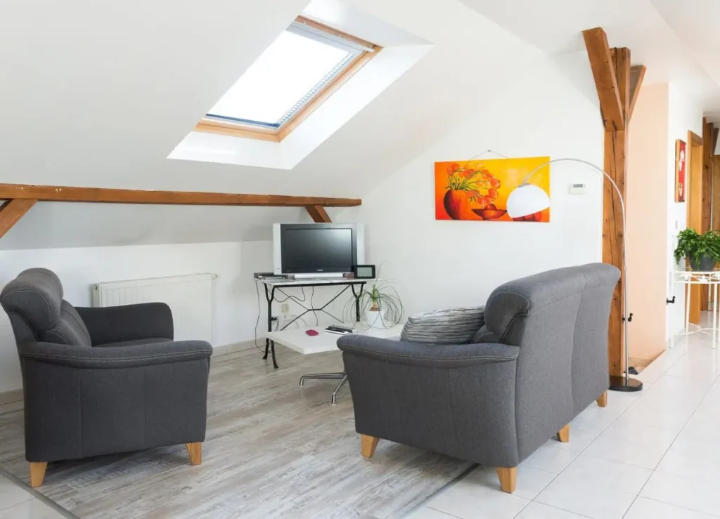 Gite Le Pin - Loft salle Télévision